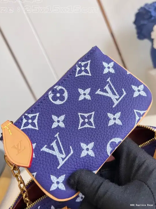 Aaa replica bags Vuitton 25 SPEEDY Louis 0603